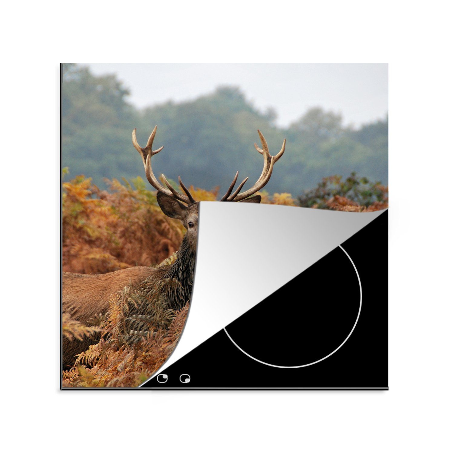 MuchoWow Herdblende-/Abdeckplatte Hirsch - Baum - Herbst, Vinyl, (1 tlg), 78x78 cm, Ceranfeldabdeckung, Arbeitsplatte für küche