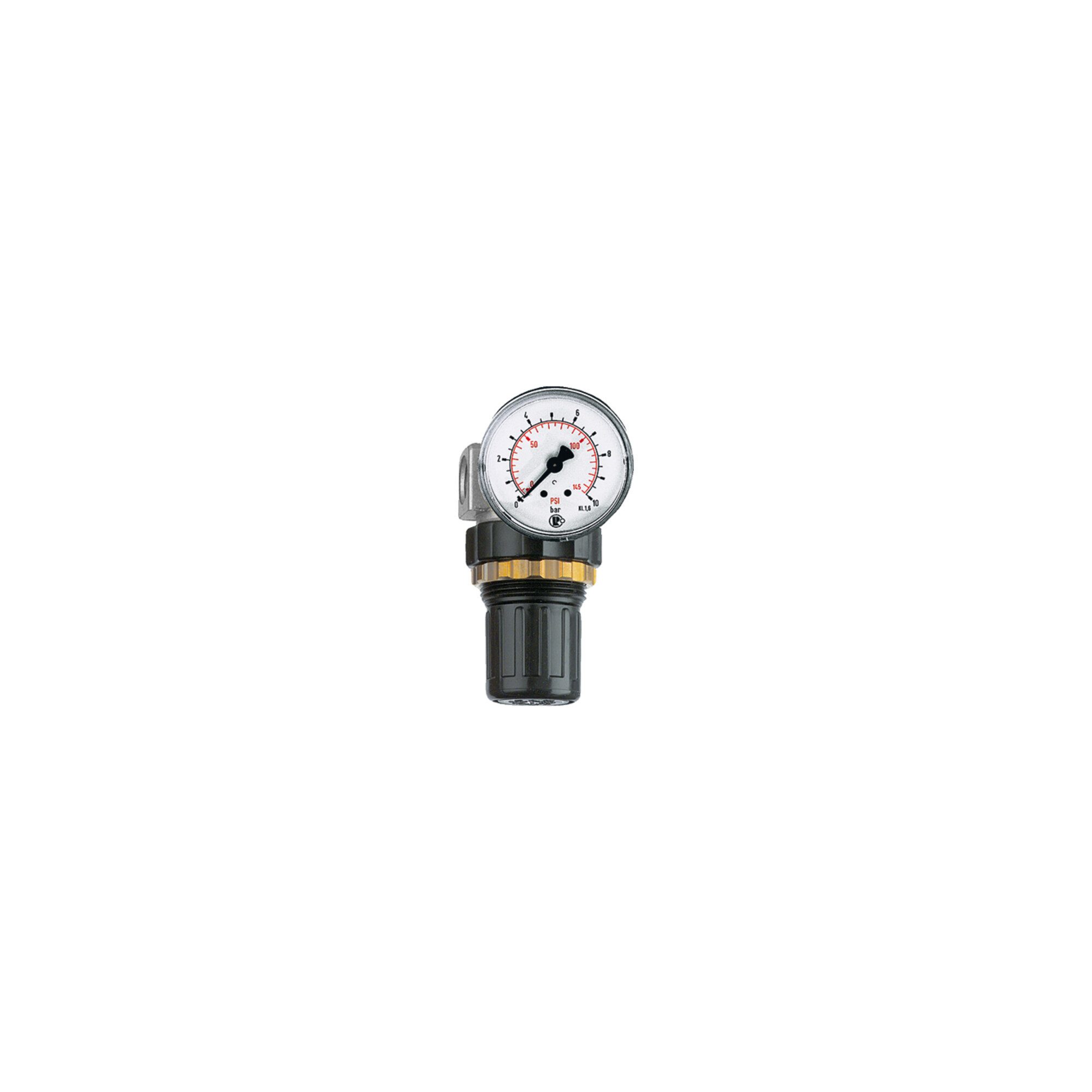 RIEGLER Druckregler Riegler Druckregler »Standard-mini«, Schalttafelmutter, G 1/8, 0,5-16