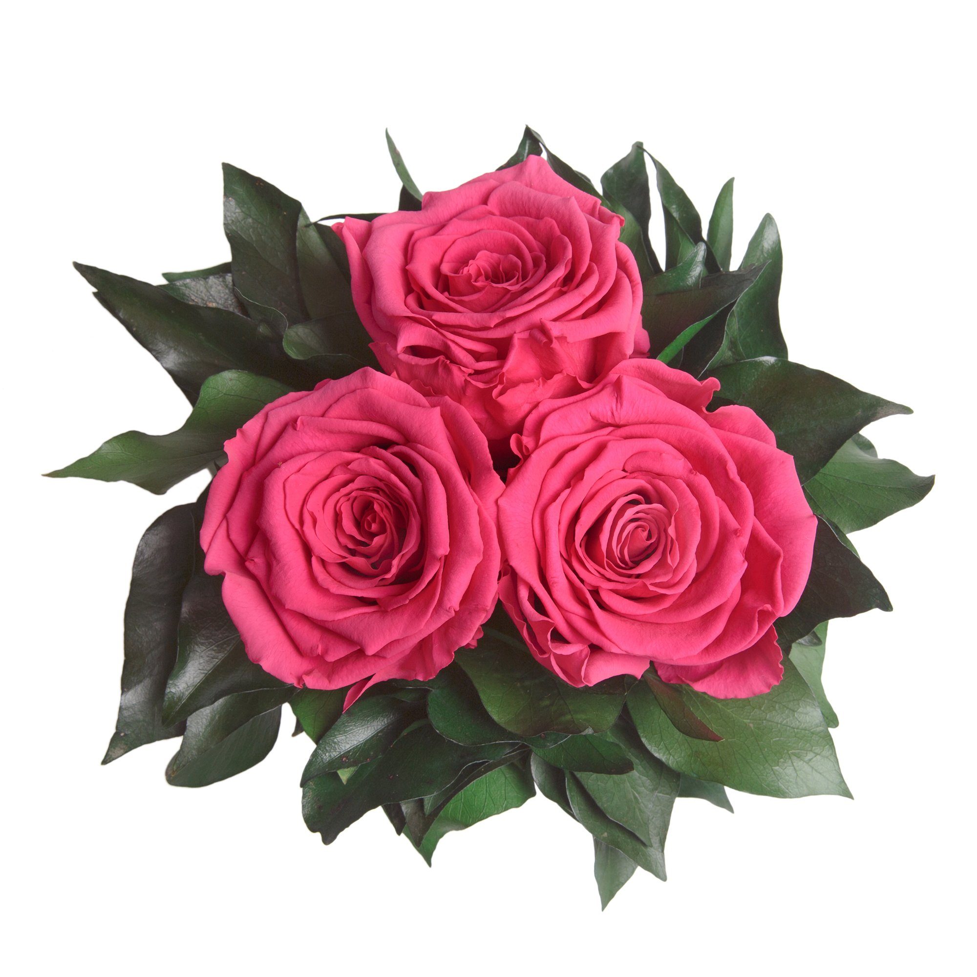 Kunstorchidee 3 Infinity silberfarbene Rose Rose, 15 Pink zu Deko Wohnzimmer Blumenstrauß 3 Rosen ROSEMARIE cm, Heidelberg, Vase haltbar Höhe SCHULZ bis Jahre