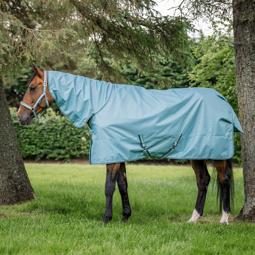 Bucas Pferde-Thermodecke Bucas Freedom Turnout Light Full Neck 0g