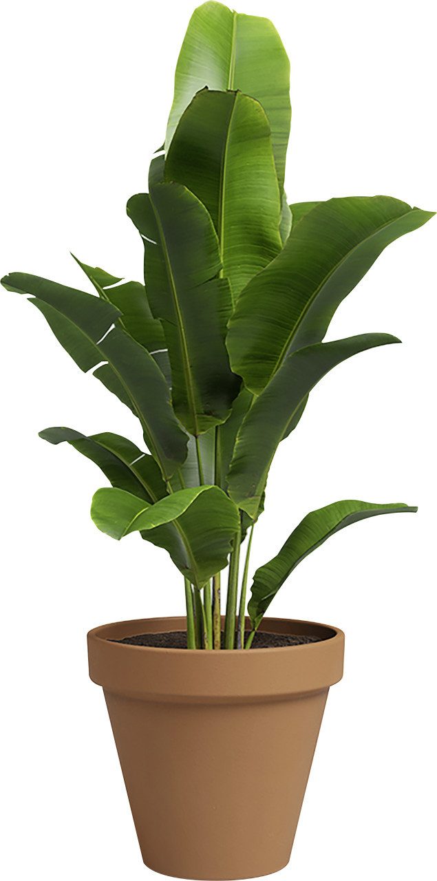 Artevasi Blumentopf Artevasi Pflanztopf Amália Terrakotta tonrot Ø 31 – Bild 2 von 2