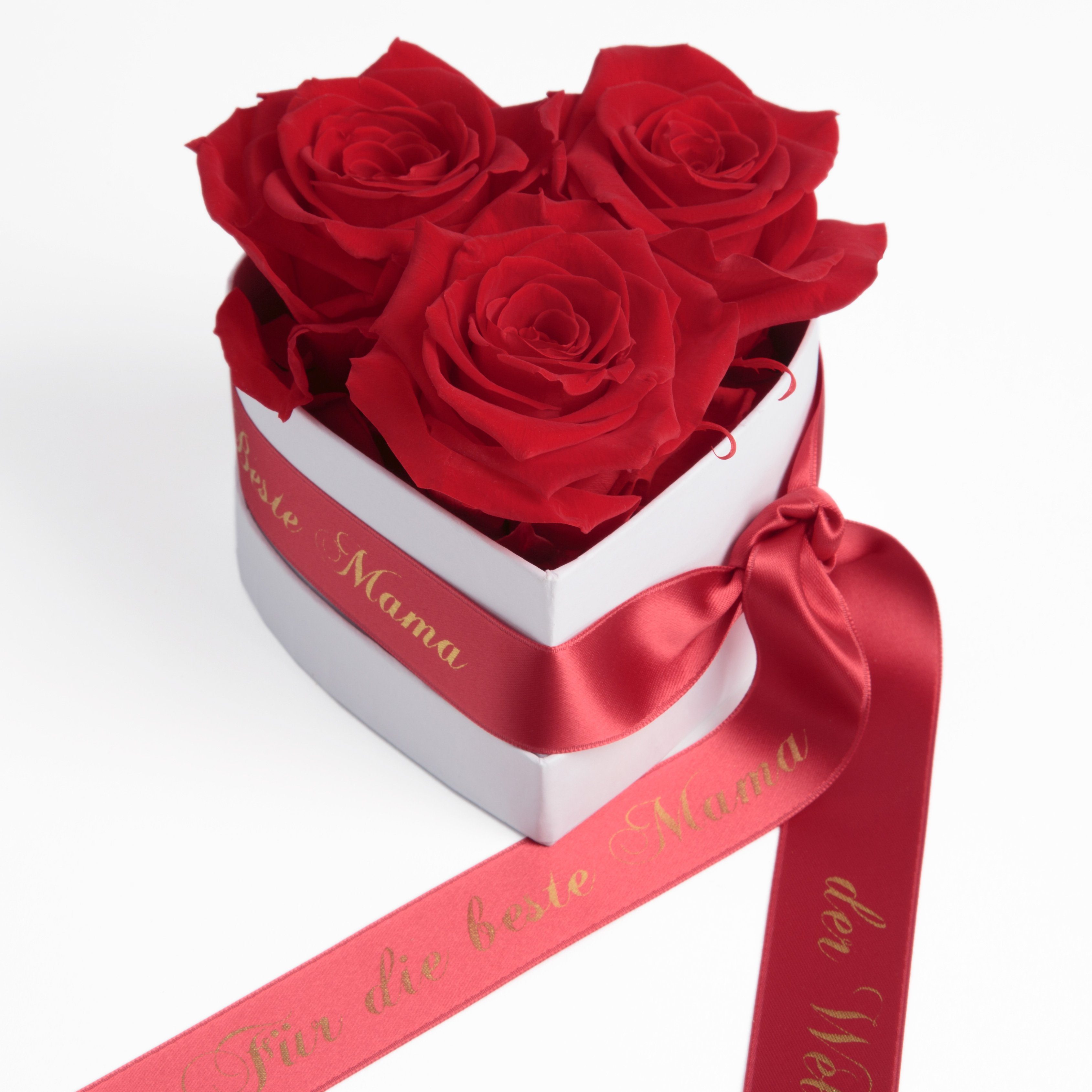 Rosen Rose, 3 Heidelberg, haltbar Beste 10 Welt SCHULZ für Herz die Mama Infinity der 3 Rot cm, ROSEMARIE Geschenk Kunstblume Rosenbox Jahre Höhe echte Blumen