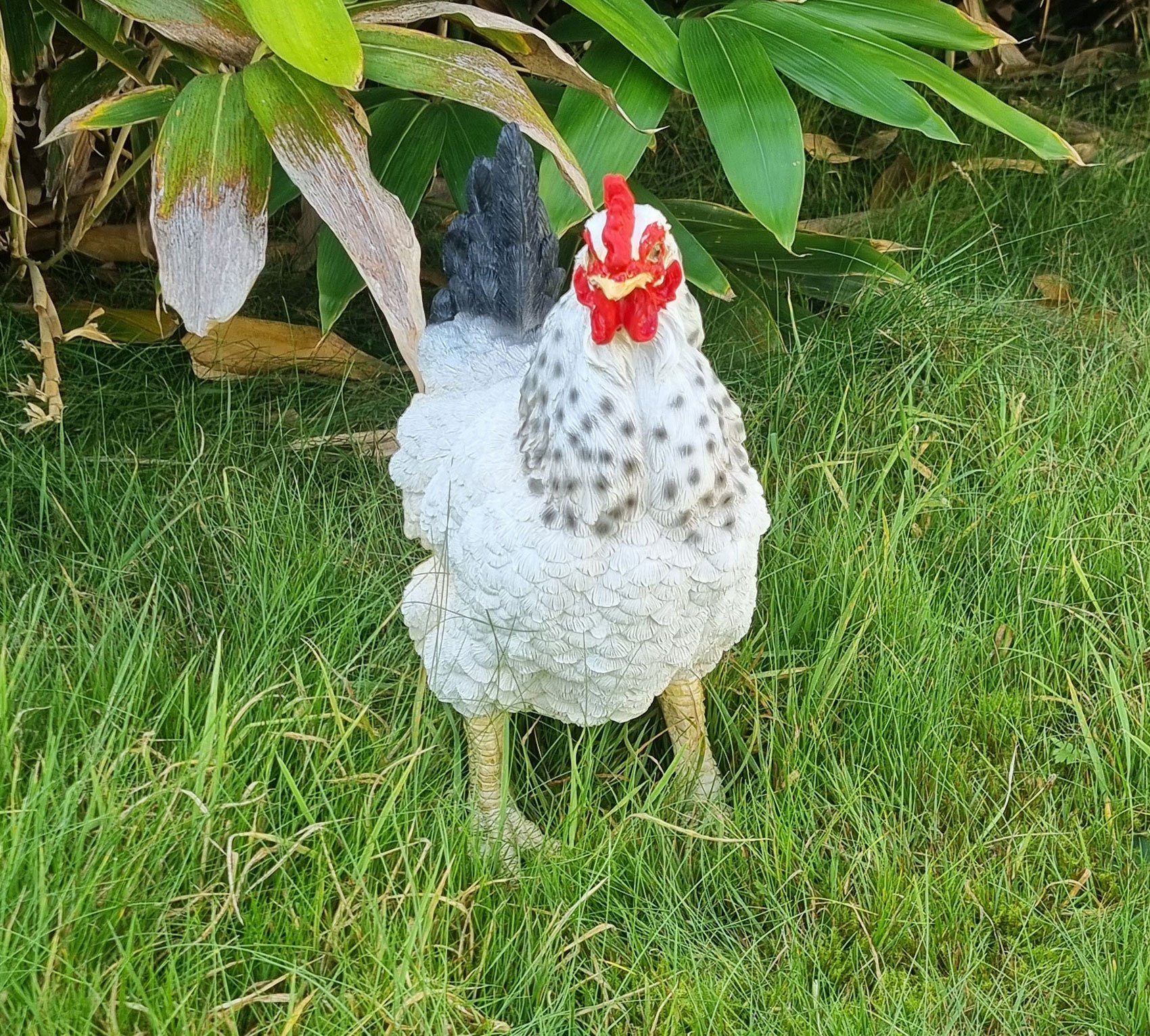 Henne Eva, Kunstharz aus Gartenfigur Huhn (1 Plus Gartenfigur St), Fachhandel lebensechte