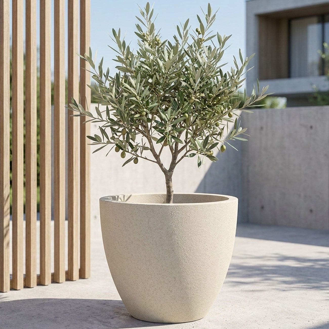 Prosperplast Pflanzkübel Ethick Moderner Pflanzkübel rund Ø58cm Sand 86L Blumentopf frostsicher (1 St., 1er-Set & 2er-Set & 3er-Set), 58,0 x 50,0 cm Kunststoff- – Bild 5 von 5