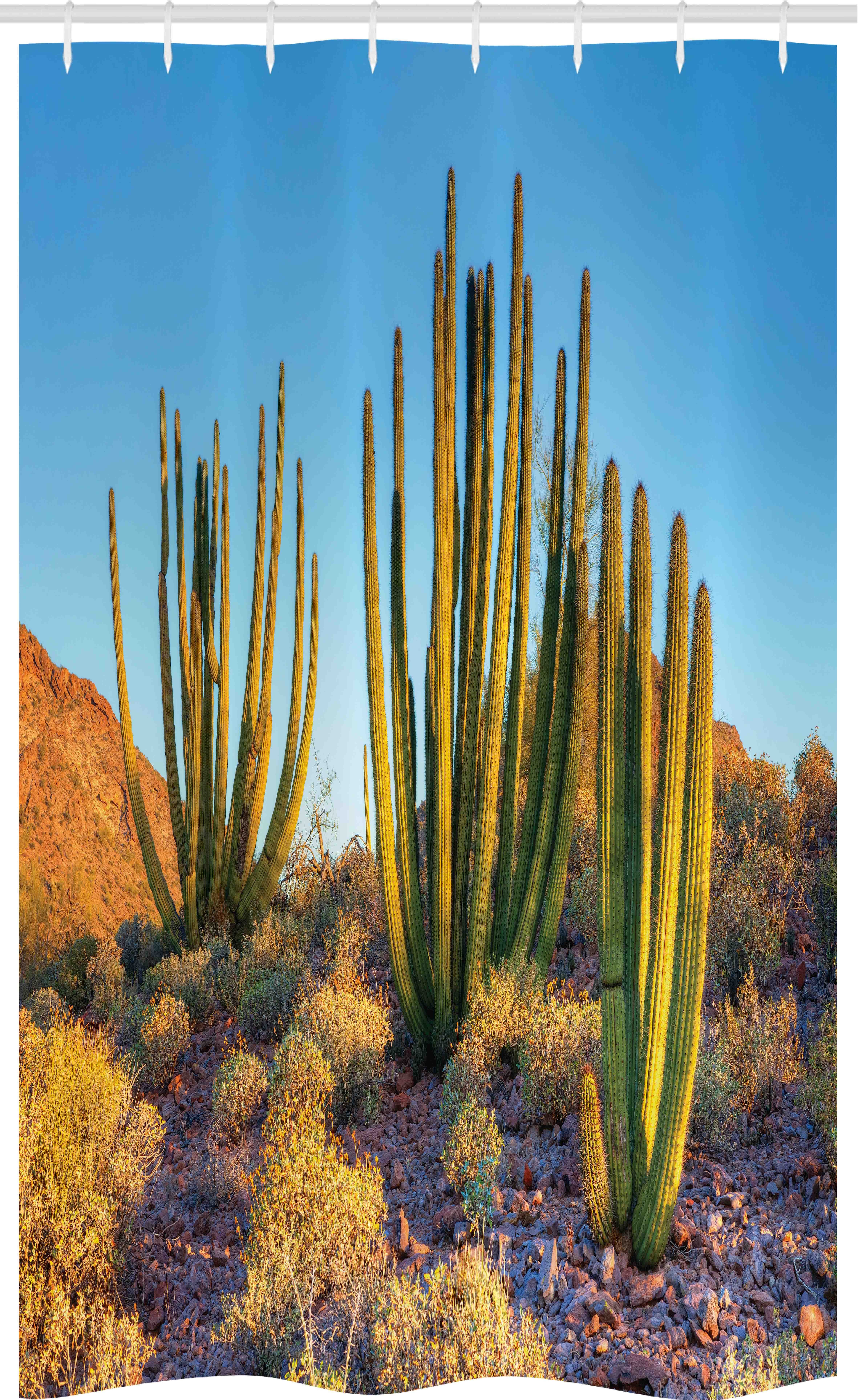 Abakuhaus Duschvorhang Badezimmer Deko Set aus Stoff mit Haken Breite 120 cm, Höhe 180 cm, Kaktus Berg Cactus Foto