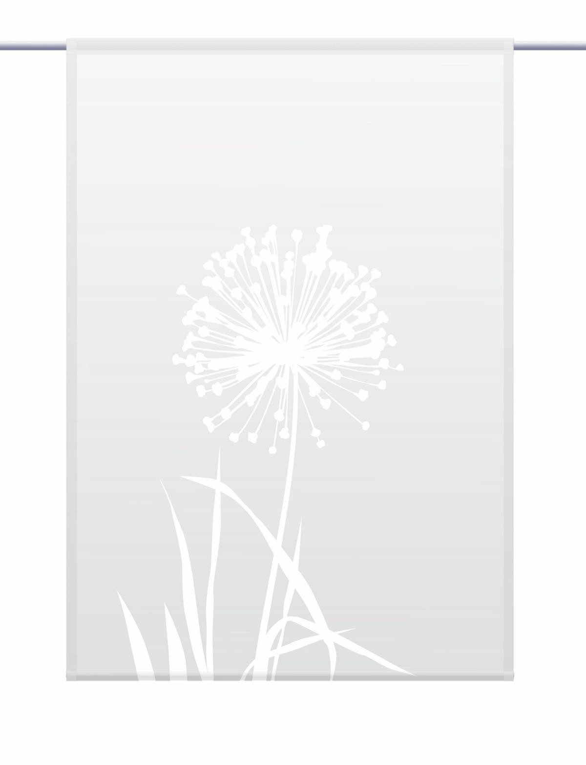 gardinen-for-life Scheibengardine Allium 24 - lichtgrau - eckiger Scheibenh günstig online kaufen