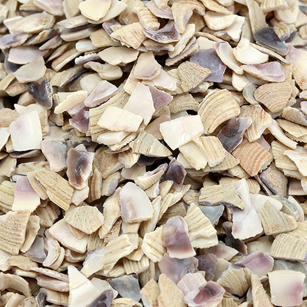 Viana Bastelnaturmaterial Muschelgranulat Dekoration Maritimes Flair Streudeko
