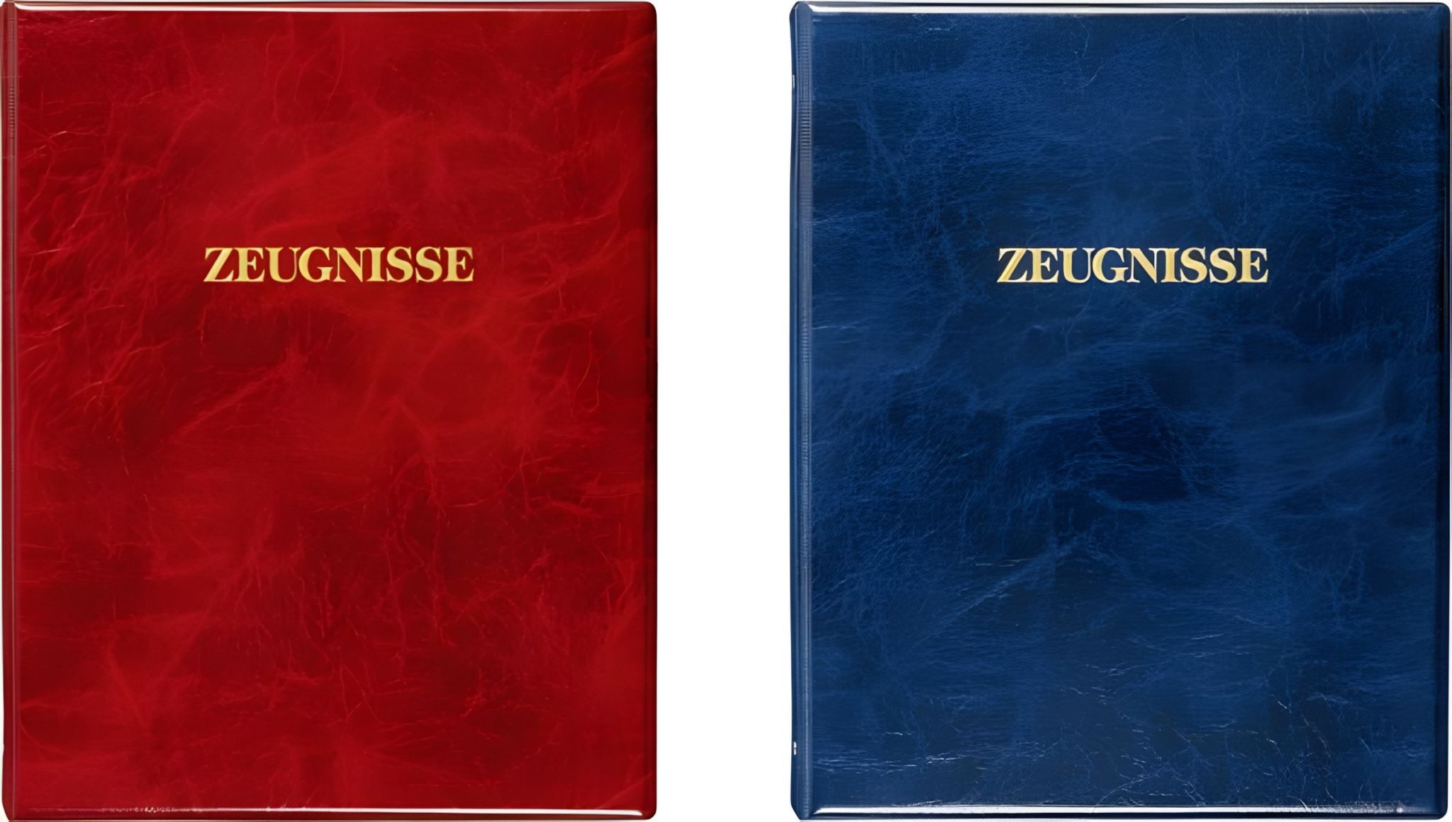 BRUNNEN Organisationsmappe BRUNNEN Zeugnisringbuch A4 5 Hüllen 1065526