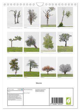 CALVENDO Wandkalender Bäume (Wandkalender 2024 DIN A4 hoch), CALVENDO Monatskalender