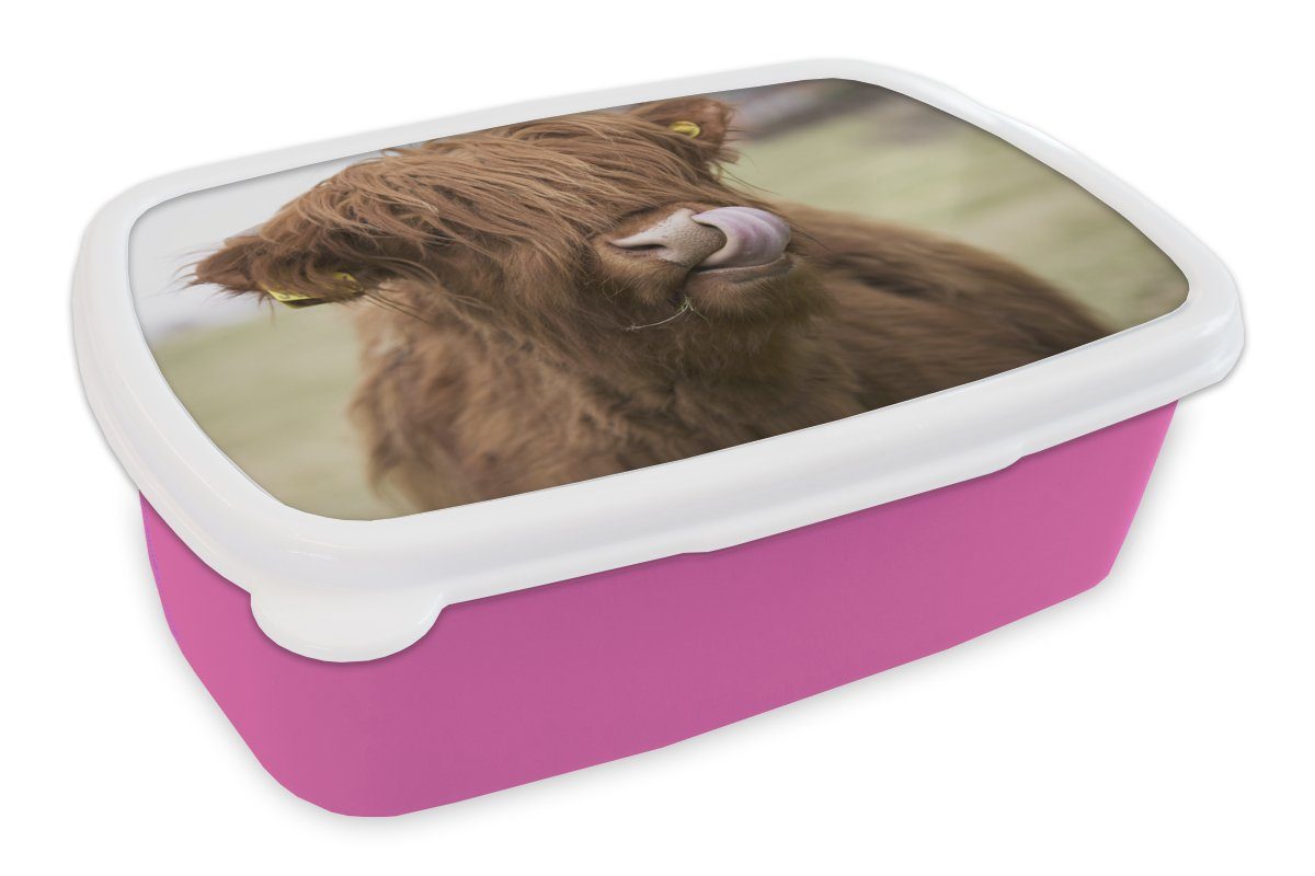 MuchoWow Lunchbox Schottischer Highlander - Braun - Kuh, Kunststoff, (2-tlg), Brotbox für Erwachsene, Brotdose Kinder, Snackbox, Mädchen, Kunststoff rosa