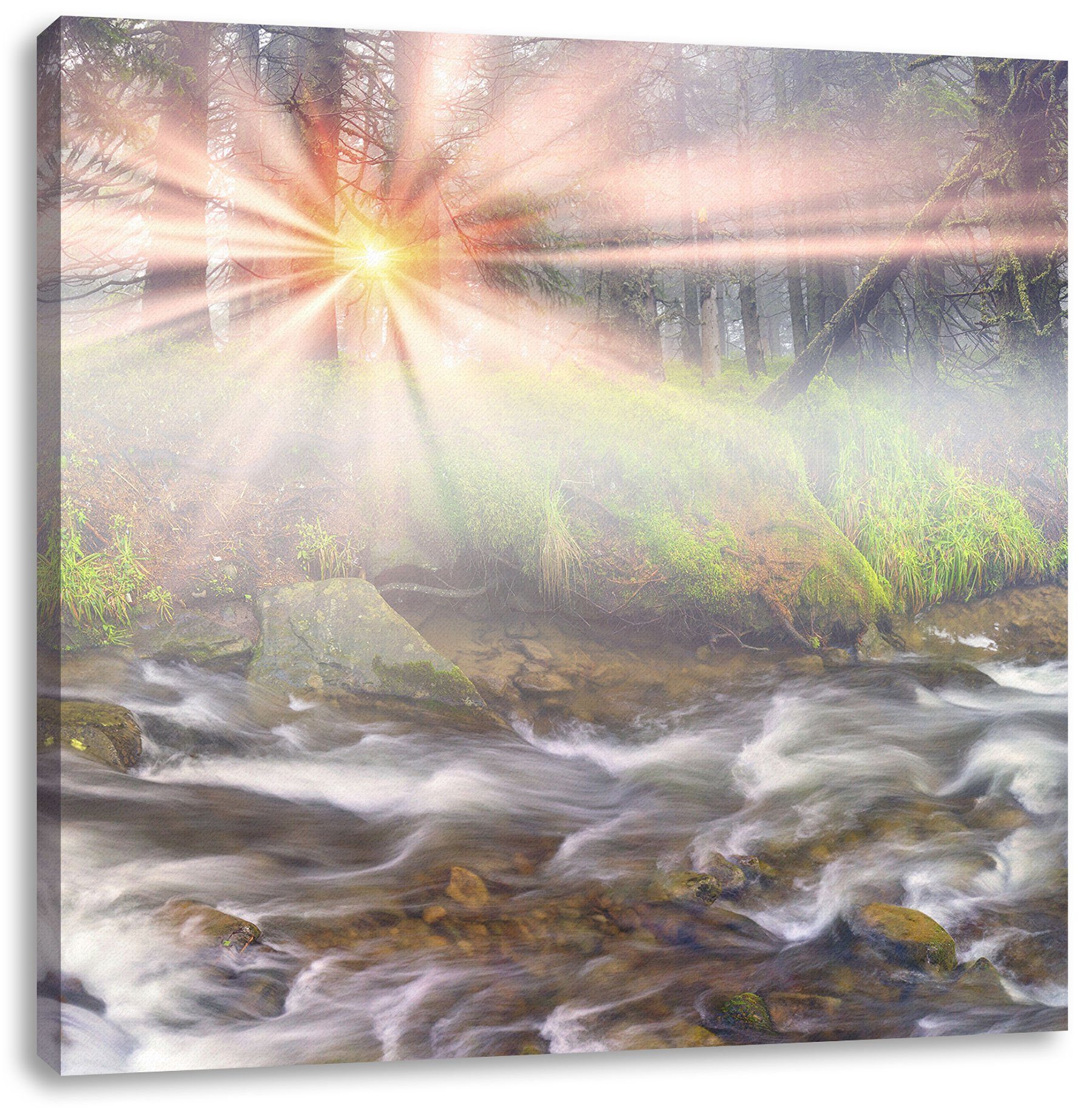 Nebeldickicht St), fertig Zackenaufhänger (1 Leinwandbild Pixxprint im inkl. bespannt, Leinwandbild Wald, Wald im Nebeldickicht