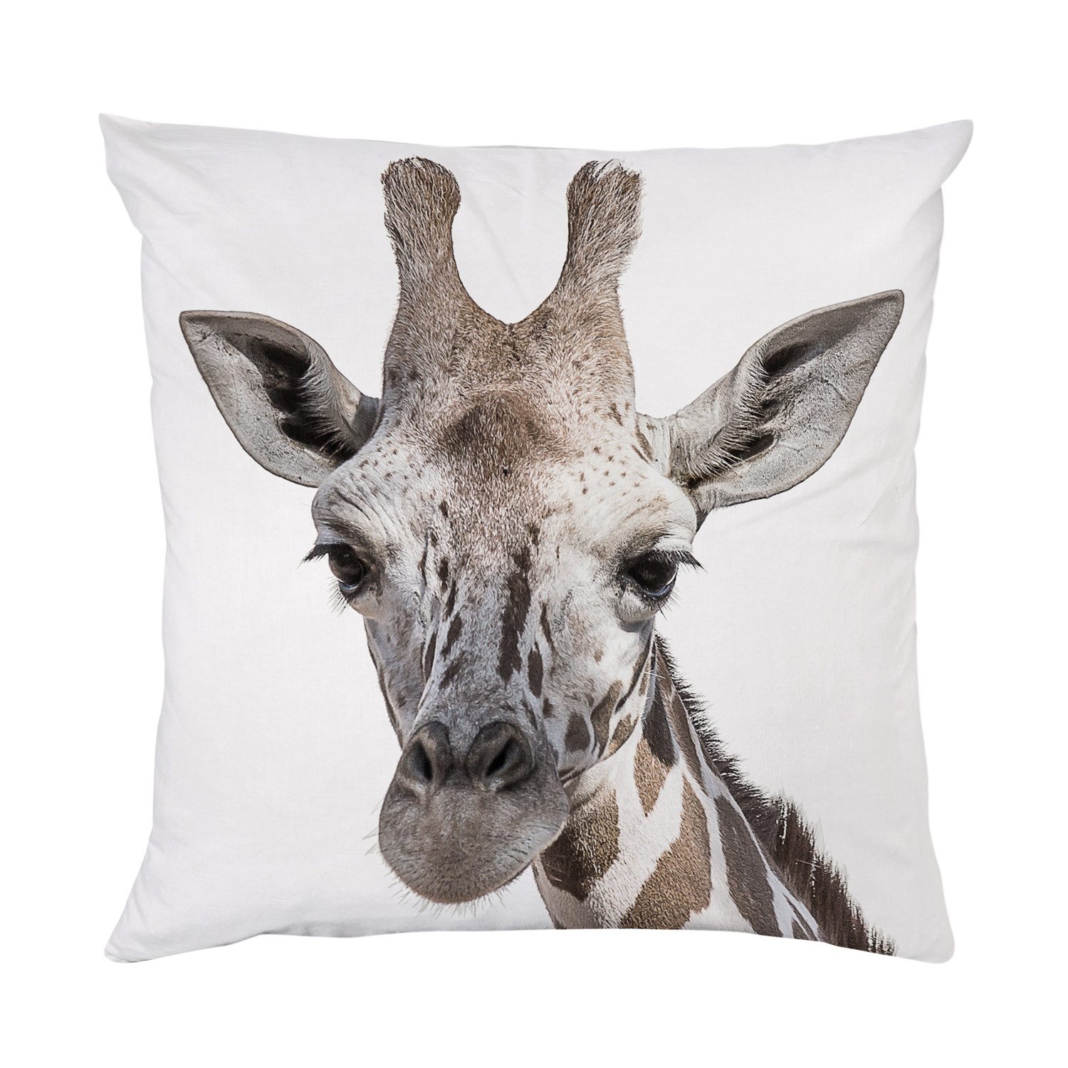 queence Dekokissen Giraffe, Kissenhülle mit HD Premium Druck, geruchsneutral, 40x40cm