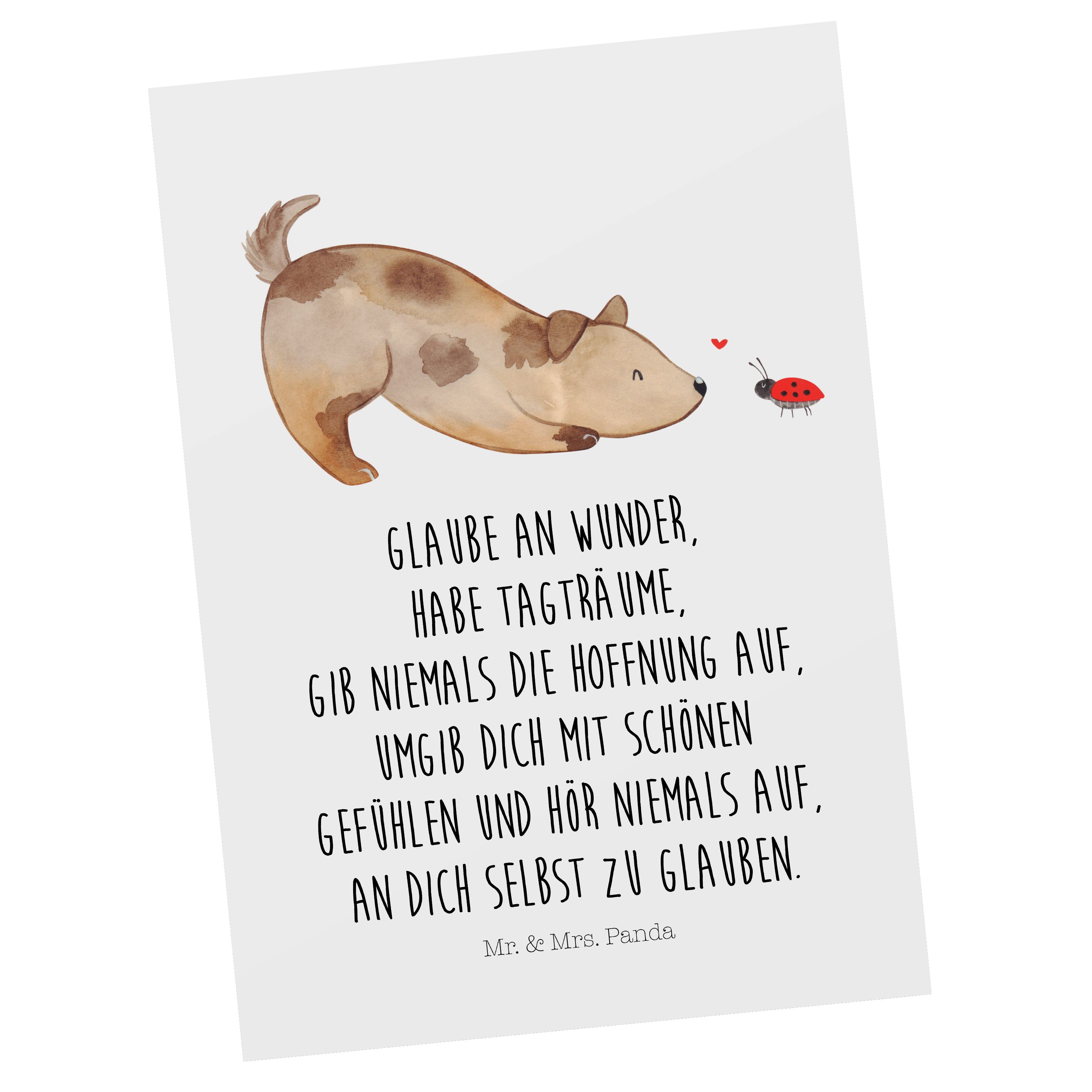 Mr. & Mrs. Panda Postkarte Hund Marienkäfer - Weiß - Geschenk, Einladungskarte, Hundebesitzer, M