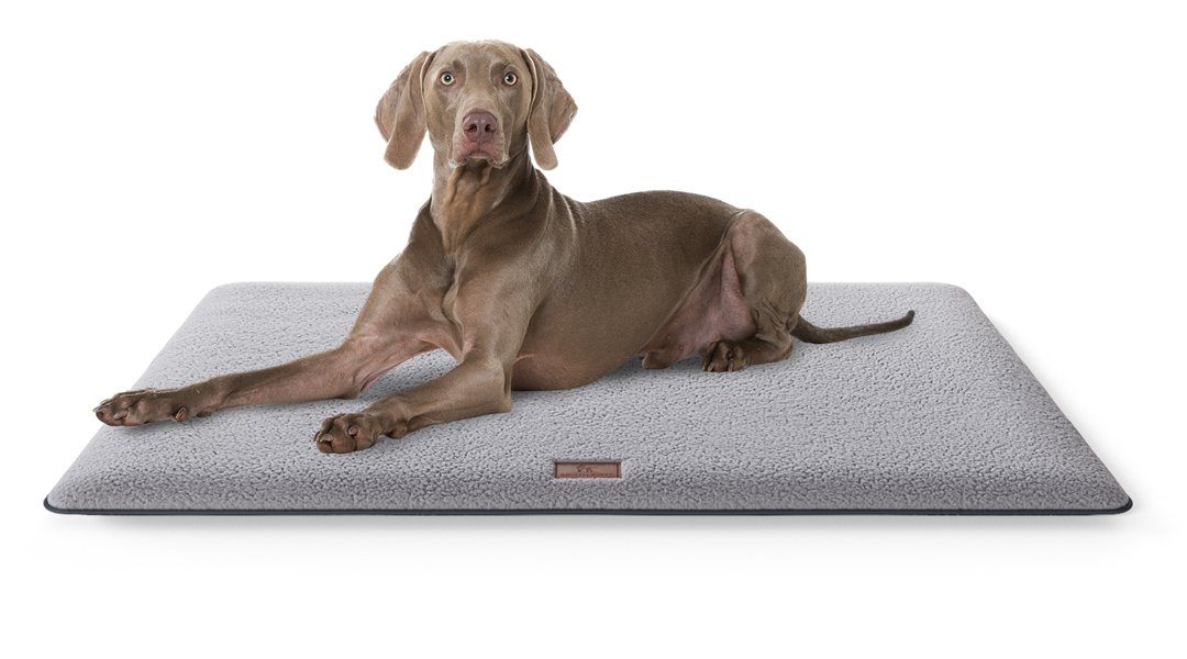 Knuffelwuff Hundematte Calliope, Schaumstoff von Knuffelwuff