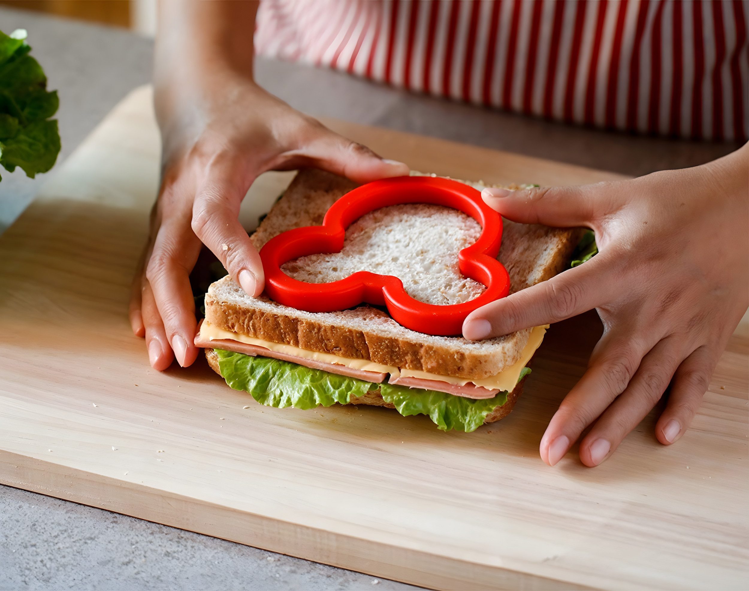 AVANA Ausstechform Edelstahl Sandwich Cutter Maus Dinosaurier Plätzchen Keks Ausstecher, Edelstahl, (2er Set), komfortable Kunststoff Oberfläche – Bild 4 von 5