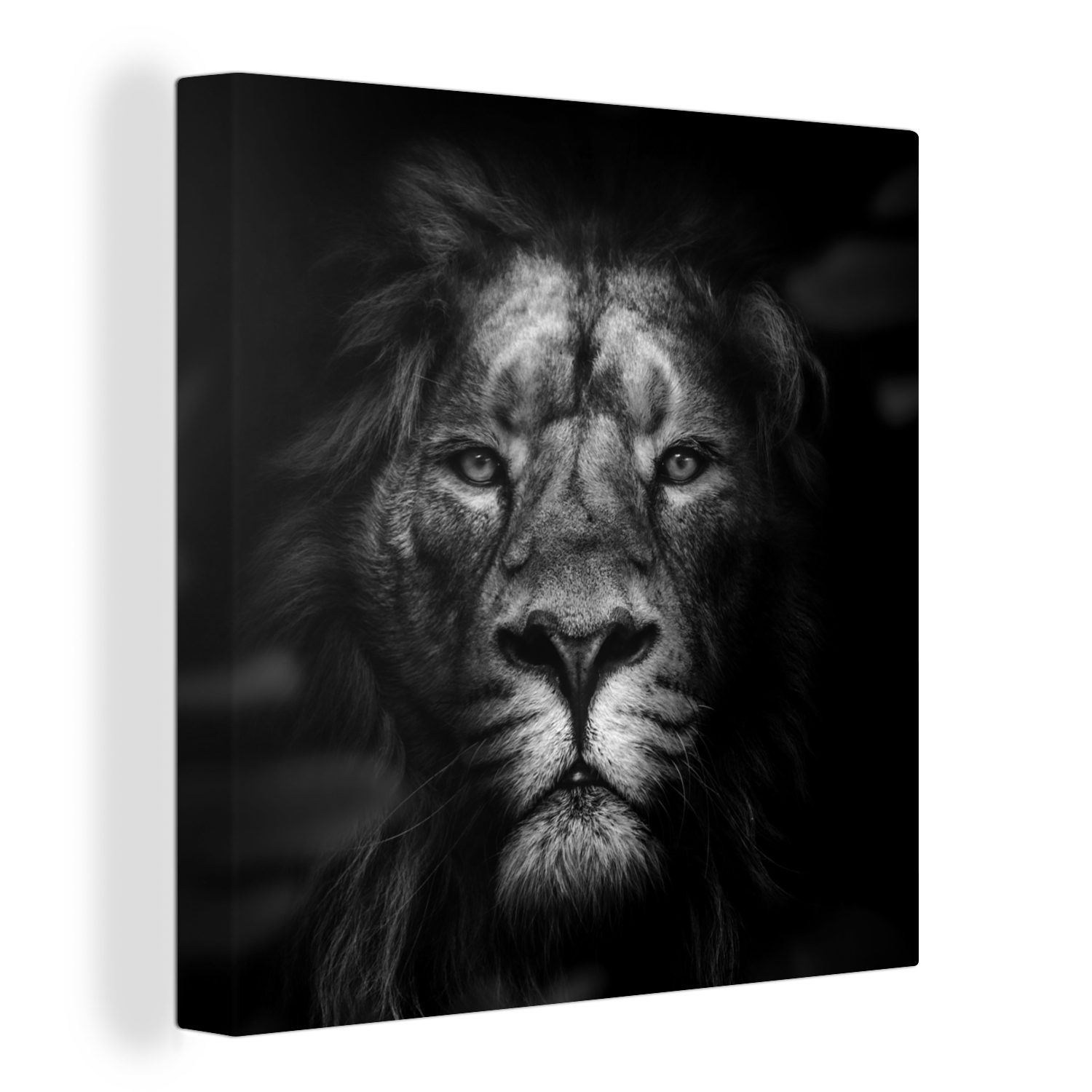 OneMillionCanvasses® Leinwandbild Tiere - Löwe - Raubtier - Schwarz - Weiß, (1 St), Leinwand Bilder für Wohnzimmer Schlafzimmer