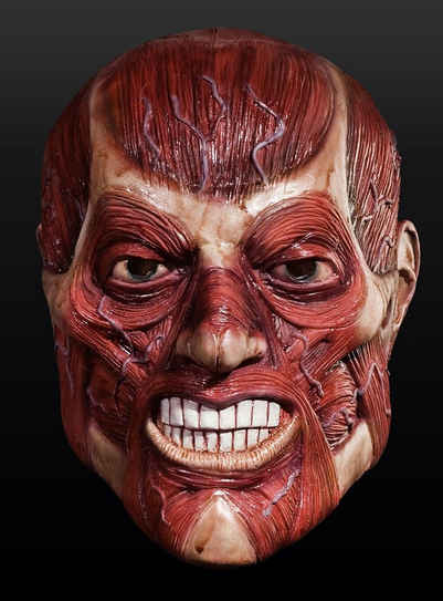 Rubie´s Verkleidungsmaske Anatomie Halloween Maske