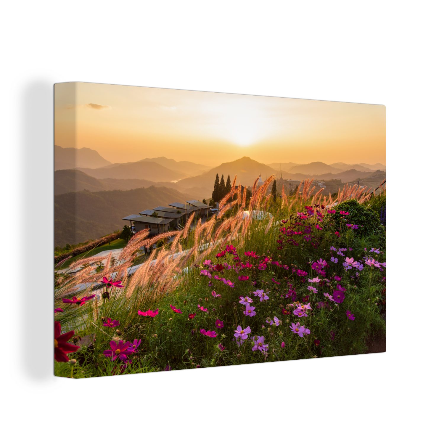 OneMillionCanvasses® Leinwandbild Blumen - Hügel - Sonnenuntergang, (1 St), Wandbild Leinwandbilder, Aufhängefertig, Wanddeko, 30x20 cm