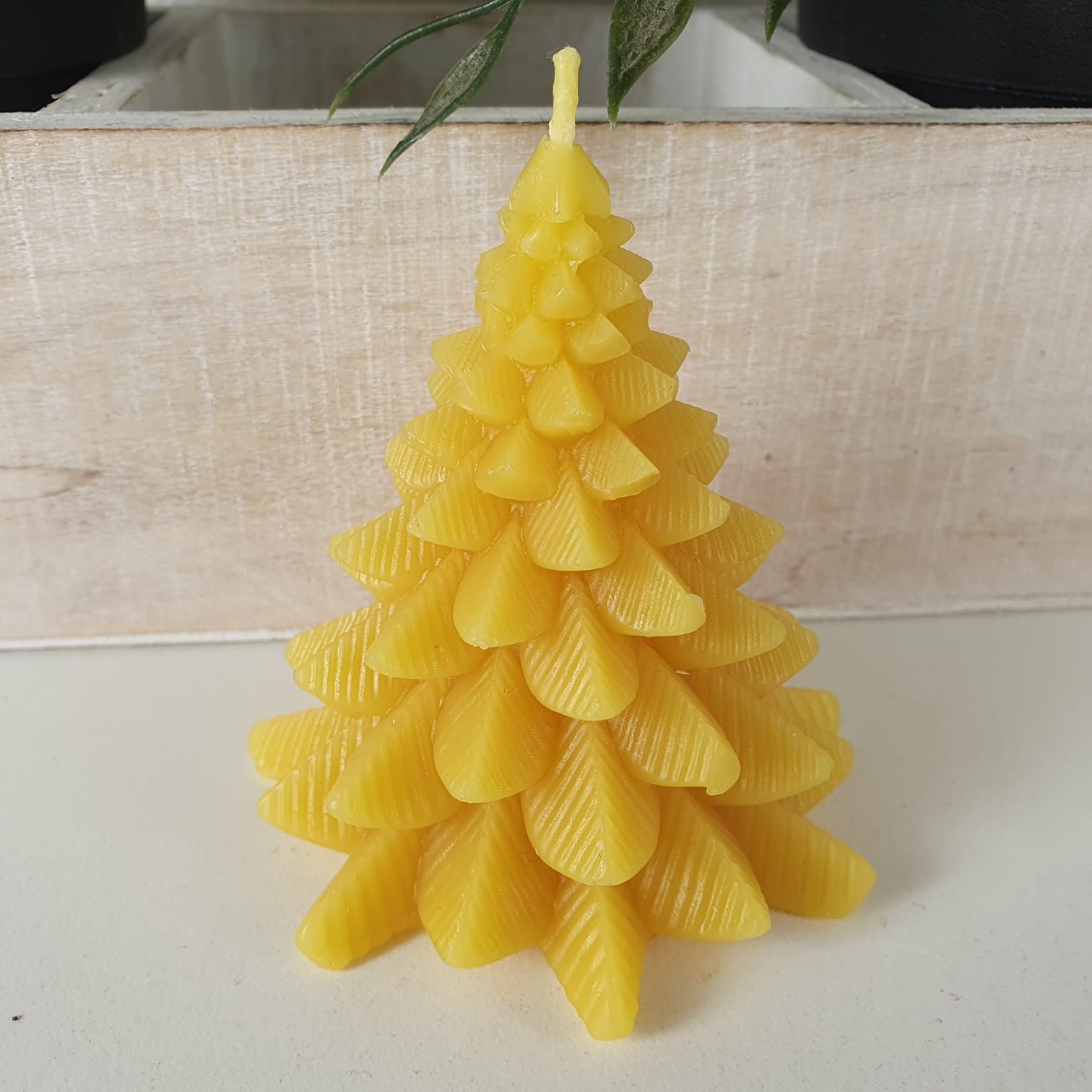 Aspinaworld Formkerze Tannenbaum Kerze 8 cm – Kerze aus Bienenwachs