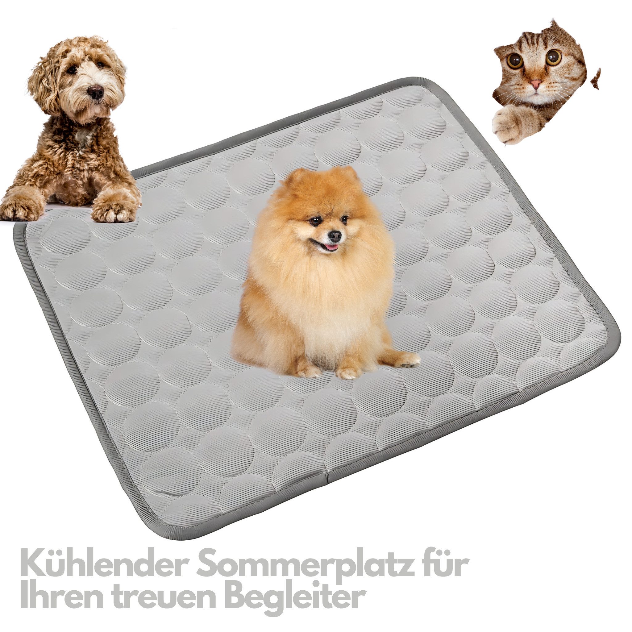 HS.SUPPLY Hundematte kühlende Matte für Ihr Haustier, Selbstkühlend & Atmungsaktiv, Ideal für Hunde oder Katzen