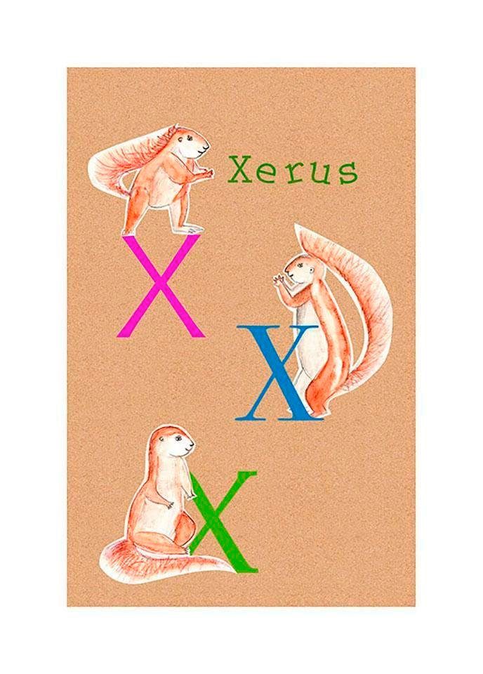 Komar Poster St), X, Wohnzimmer ABC Animal (1 Buchstaben Schlafzimmer, Kinderzimmer