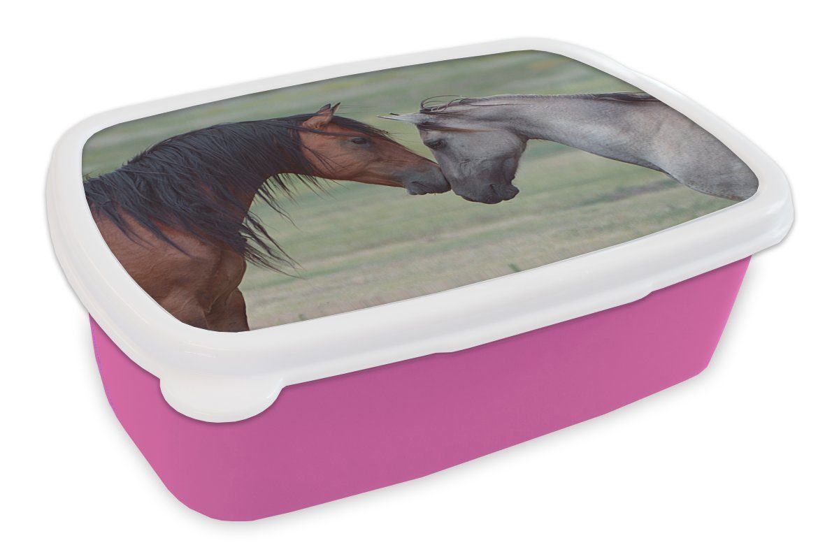 MuchoWow Lunchbox Zwei wilde Mustang-Pferde legen ihre Köpfe aneinander, Kunststoff, (2-tlg), Brotbox für Erwachsene, Brotdose Kinder, Snackbox, Mädchen, Kunststoff rosa
