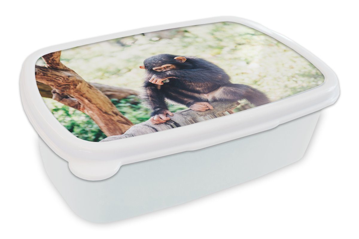 und Schimpansenaffe weiß (2-tlg), für MuchoWow und sitzend Erwachsene, Kinder Brotbox Kunststoff, Nahaufnahme Jungs Brotdose, für Wald, Mädchen Lunchbox im