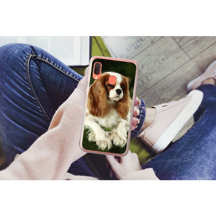 MuchoWow Handyhülle Porträt eines Cavalier King Charles Spaniels Handyhülle Samsung Galaxy A20e Smartphone-Bumper Print Handy QR11121