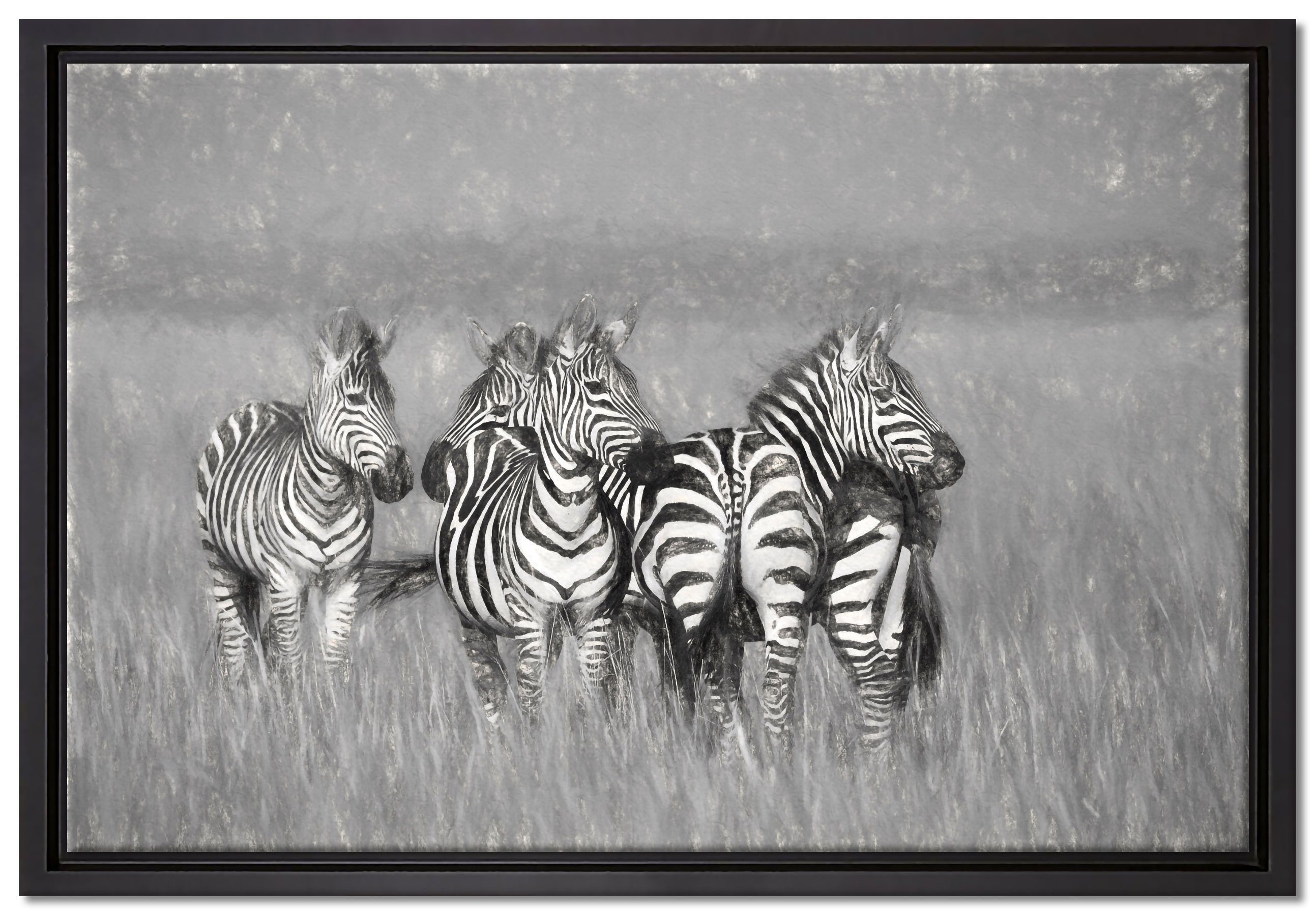 Pixxprint Leinwandbild Zebras bespannt, inkl. Savanne, St), Leinwandbild einem in in Zackenaufhänger (1 gefasst, Wanddekoration Schattenfugen-Bilderrahmen fertig