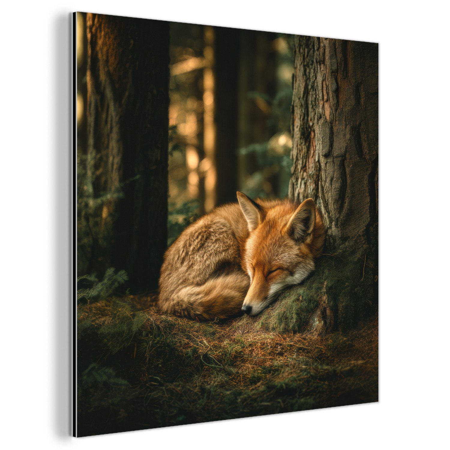 MuchoWow Metallbild Fuchs - Wald - günstig online kaufen