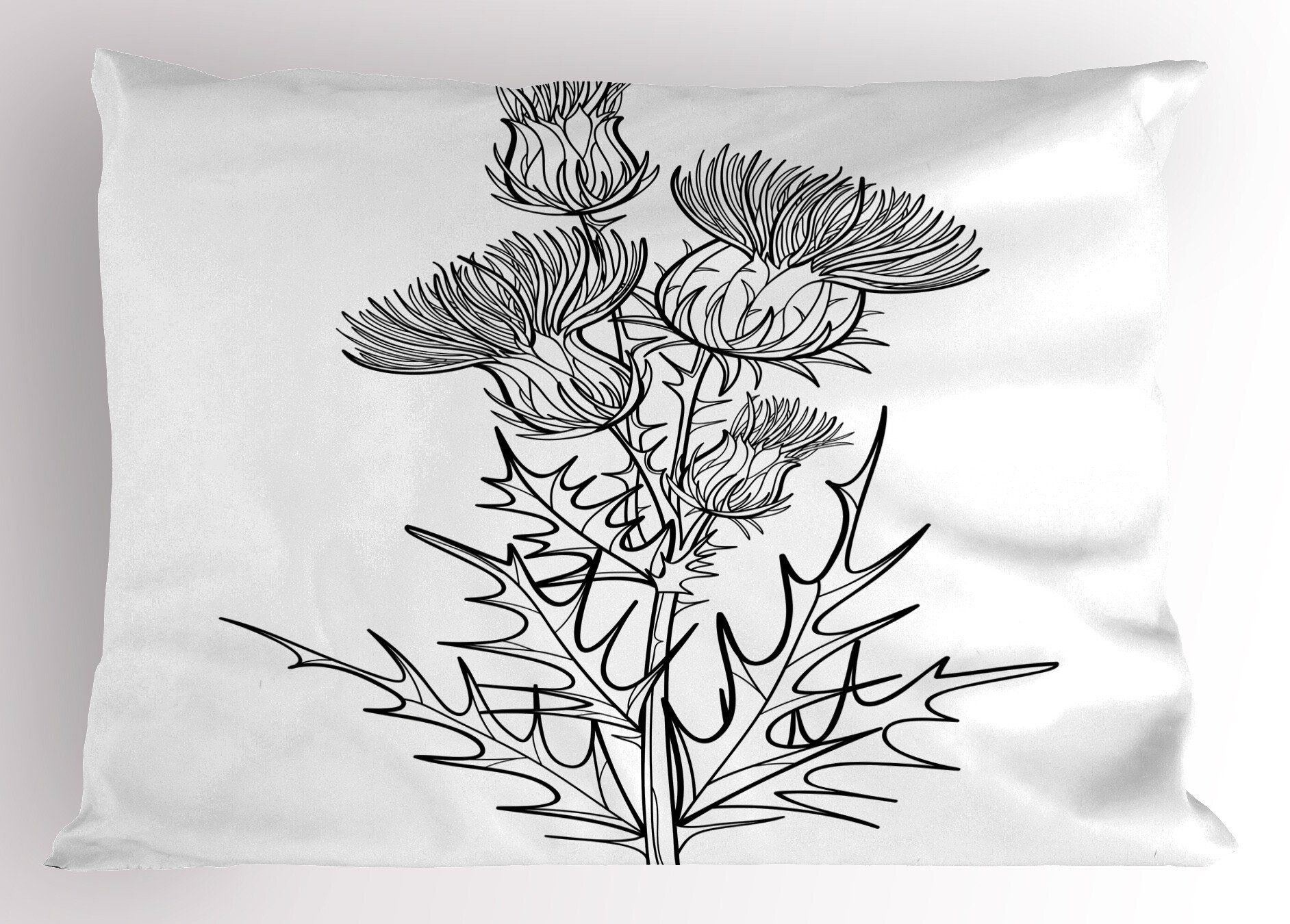 Carduus Queen Kissenbezüge Abakuhaus Stück), oder Botanisch Distel Kopfkissenbezug, (1 Pflanzen Size Dekorativer Gedruckter
