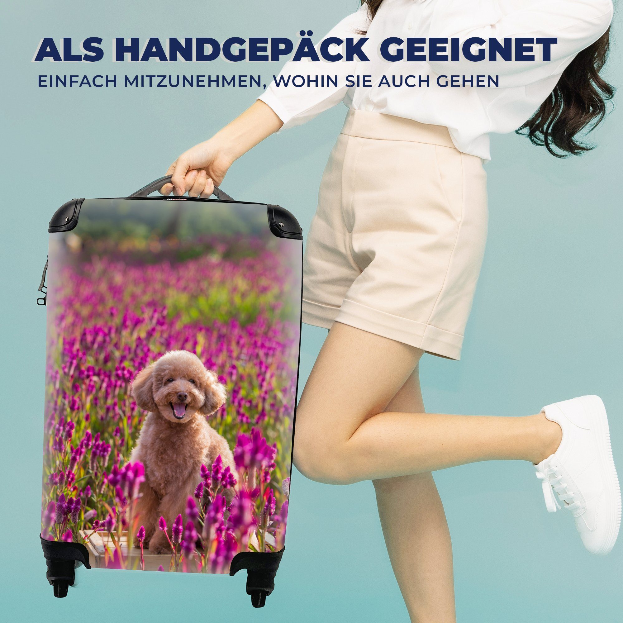 MuchoWow Lavendel mit Hund 4 Reisetasche Handgepäckkoffer Rollen, - - für Ferien, rollen, - Handgepäck Frühling, Blumen Trolley, Reisekoffer