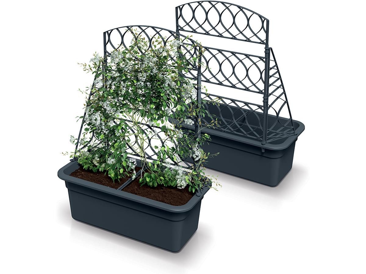 Prosperplast Blumenkasten mit Pergola (Bloma), mit Rankhilfe
