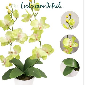 Kunstorchidee Orchidee Phalaenopsis Seidenblume Kunstblume Blume Pflanze künstlich Orchidee, PassionMade, Höhe 60 cm, im Topf