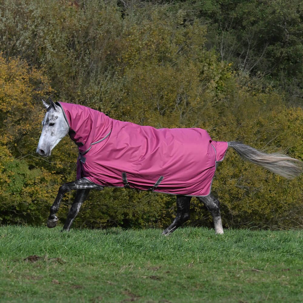 Bucas Pferde-Thermodecke Bucas Freedom Turnout Light Full Neck 0g
