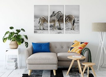Pixxprint Leinwandbild Zebras in der Savanne, Zebras in der Savanne 3Teiler (120x80cm) (1 St), Leinwandbild fertig bespannt, inkl. Zackenaufhänger