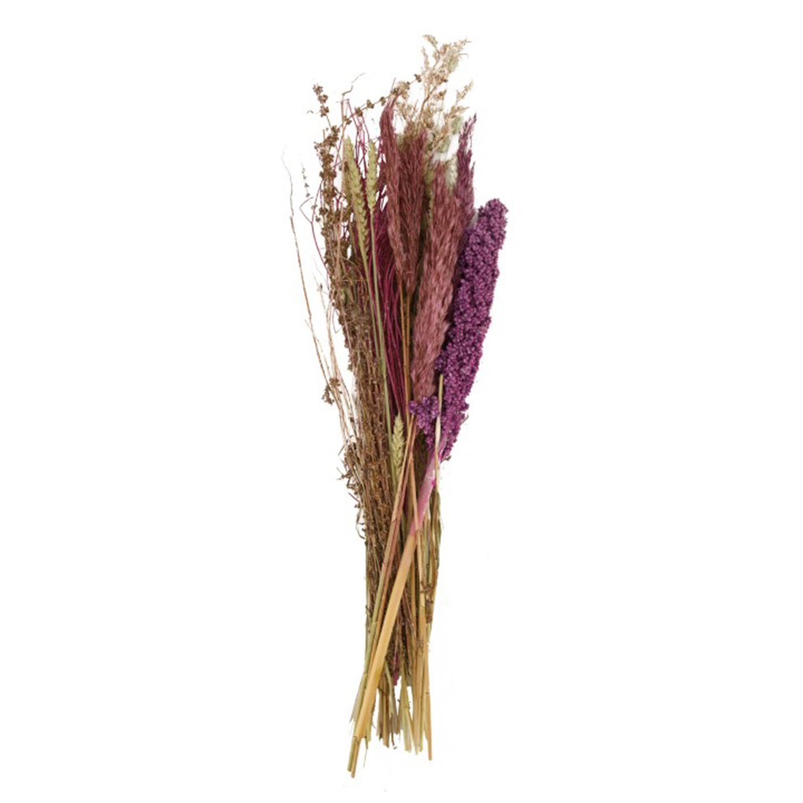 Trockenblume Getrockneter Blumenstrauß lila - dried flower bouquet - 80x26x17 cm, DIJK