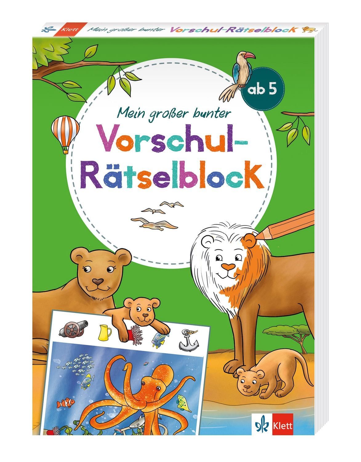 Klett Mein großer bunter Vorschul-Rätselblock / diverse