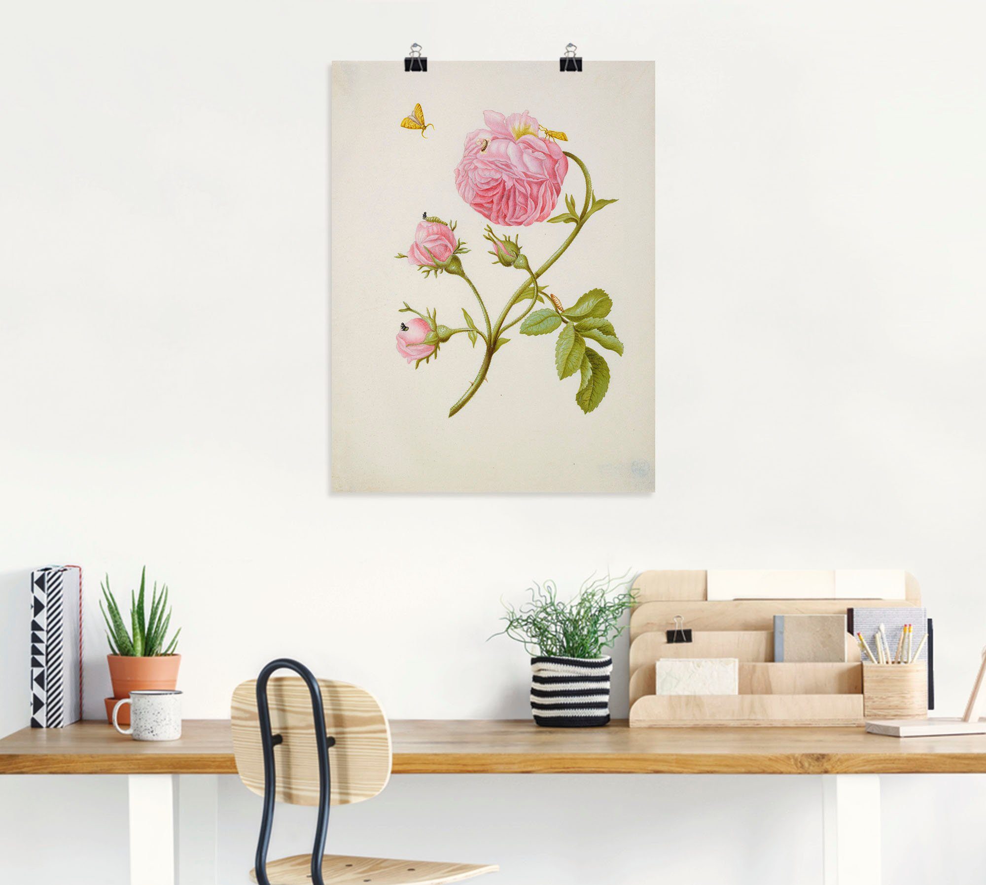 (1 Wandbild Artland St), Größen Blumen versch. Buschröschen Miniermotte, in als Larve, Puppe, Wandaufkleber Leinwandbild, oder Poster