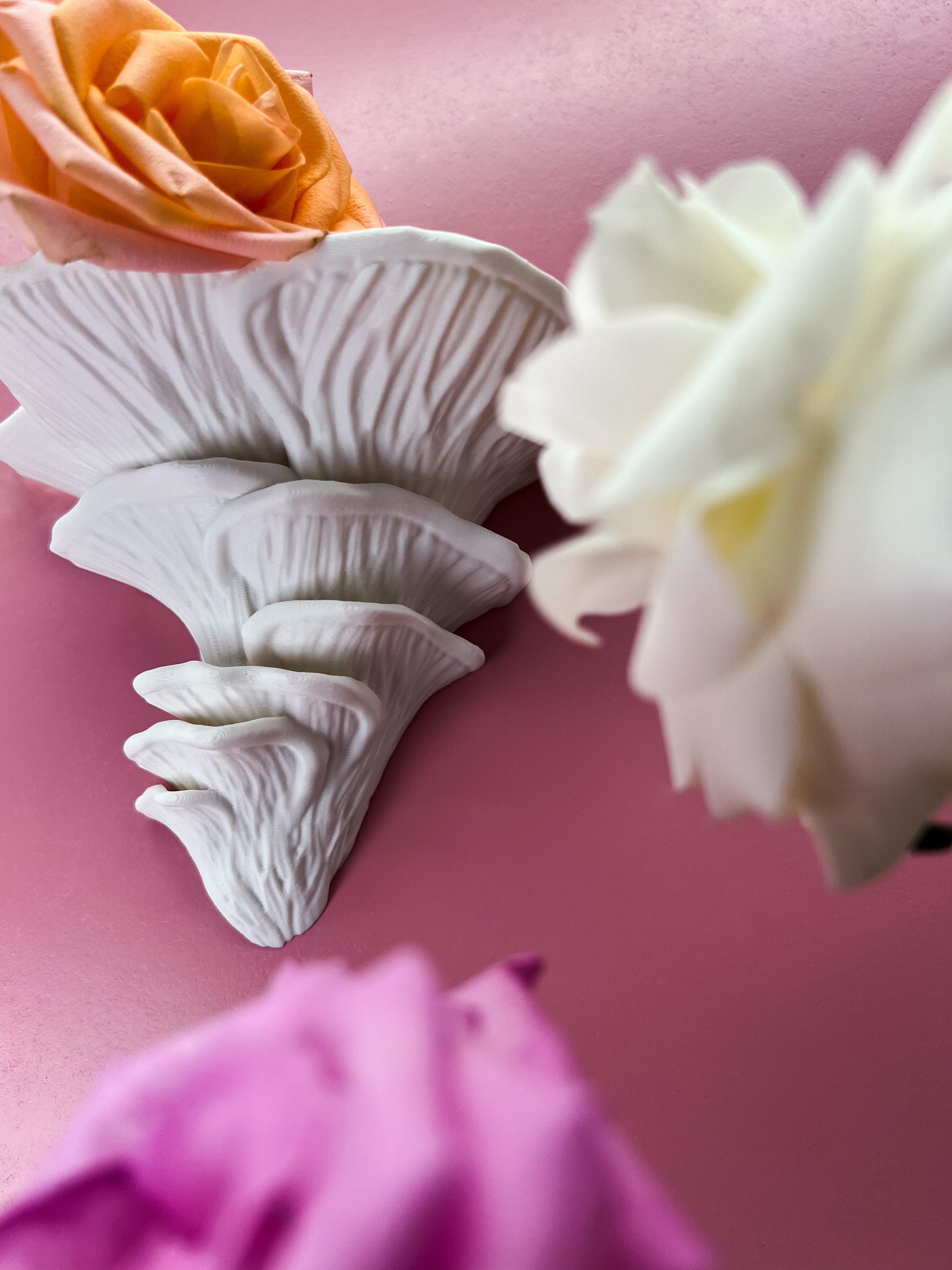 Roomberry Deko-Wandregal Flamingo-Seitling Pilz Wandregal, Hergestellt günstig online kaufen