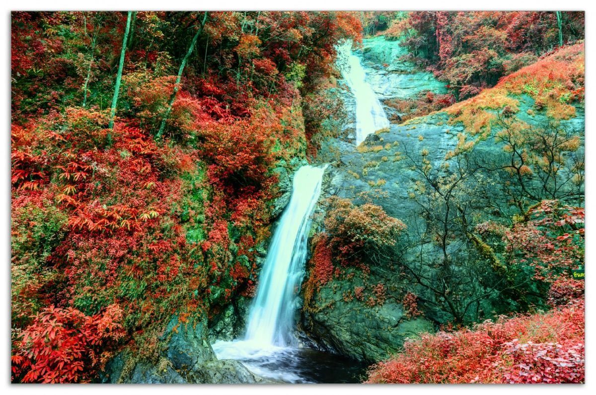 Wallario Herd-Abdeckplatte Wasserfall in einem herbstlich gefärbten Wald, ESG-Sicherheitsglas, (Glasplatte, 1 tlg., inkl. 5mm Noppen), verschiedene Größen
