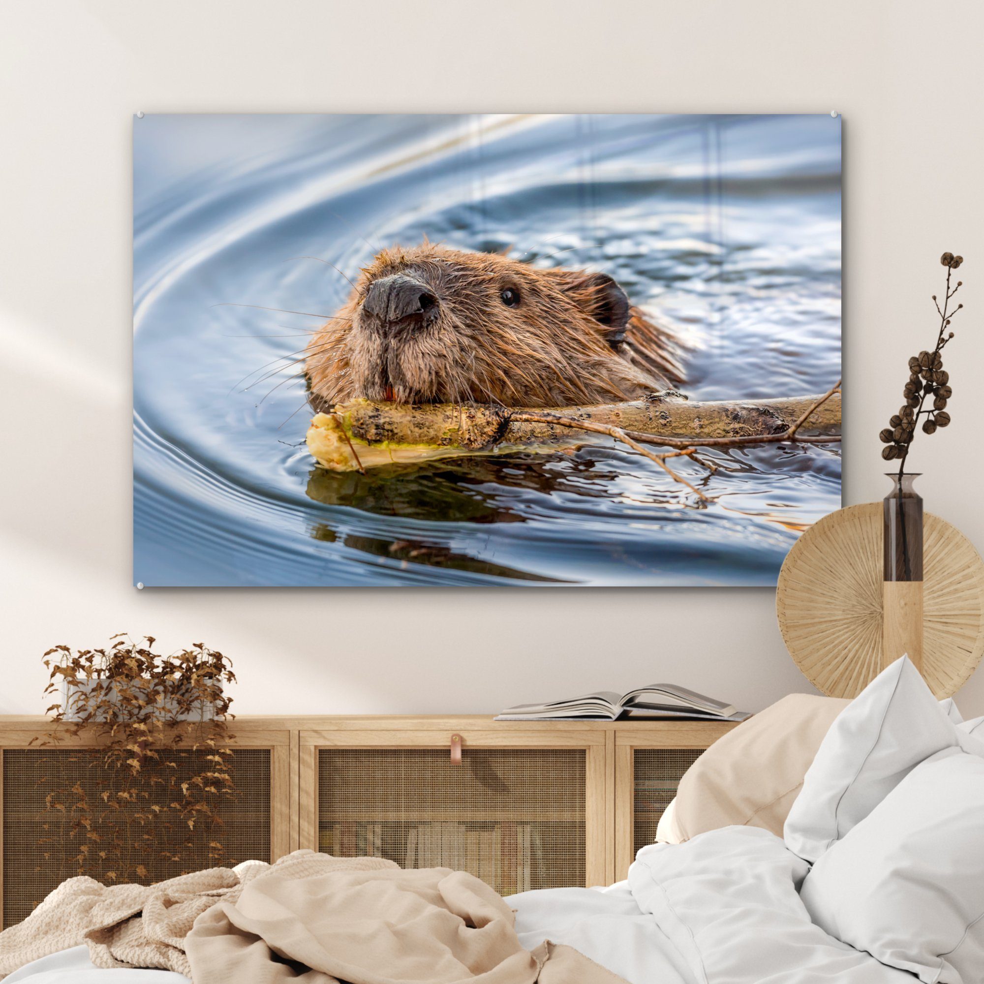 Acrylglasbild St), Wohnzimmer - Schwimmen Schlafzimmer Wasser, MuchoWow (1 Acrylglasbilder - & Biber