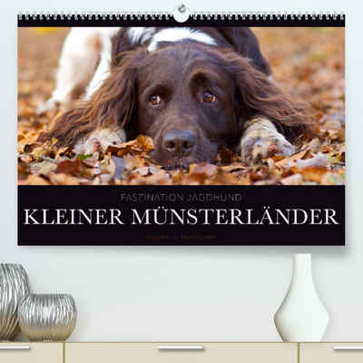 CALVENDO Wandkalender Faszination Jagdhund - Kleiner Münsterländer (Premium, hochwertiger DIN A2 Wandkalender 2023, Kunstdruck in Hochglanz)