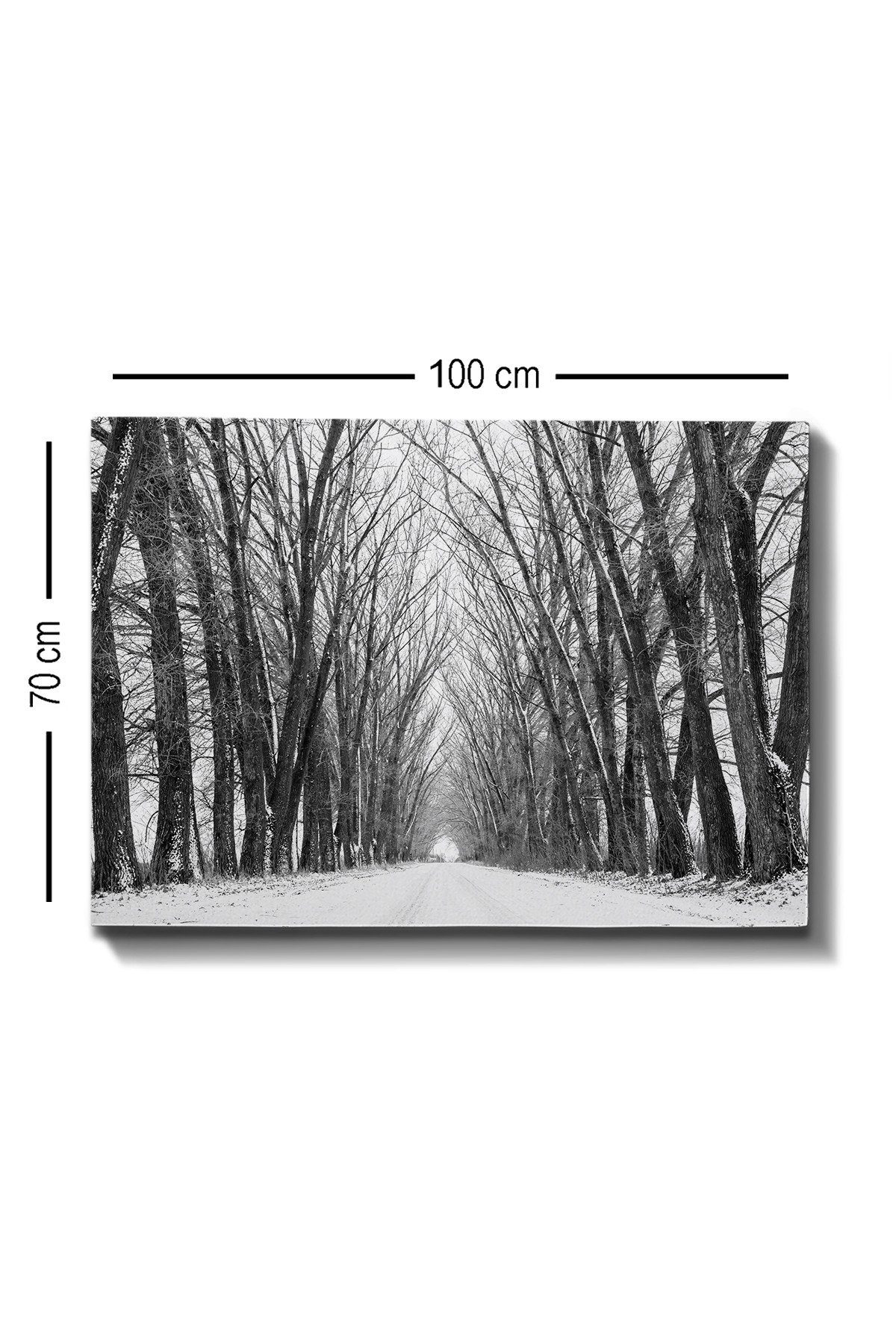 Wallity Leinwandbild TCR1416, x 100% cm, Leinwand Bunt, 70 100