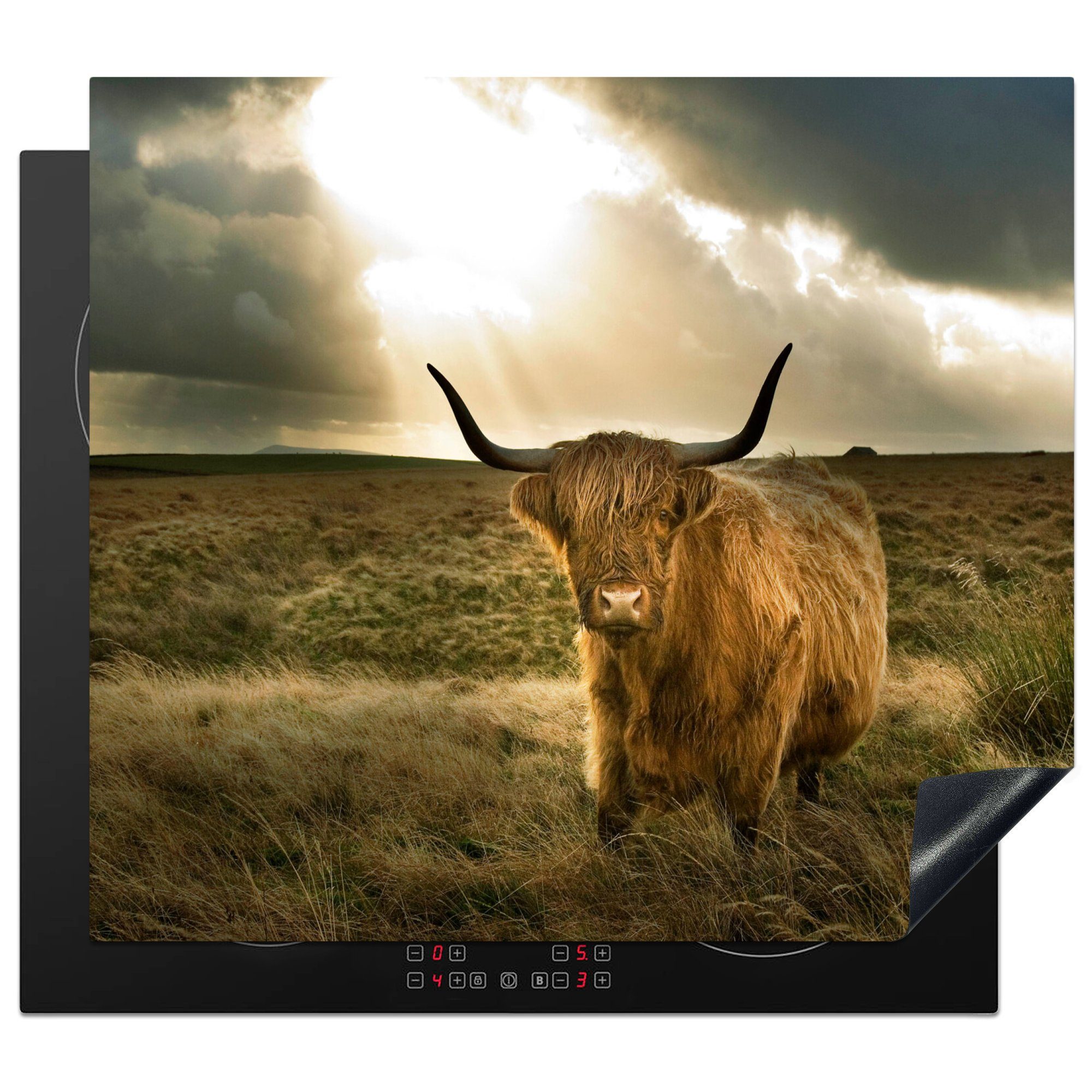 MuchoWow Herdblende-/Abdeckplatte Schottischer Hochländer - Sonne - Tiere, Vinyl, (1 tlg), 59x52 cm, Ceranfeldabdeckung für die küche, Induktionsmatte