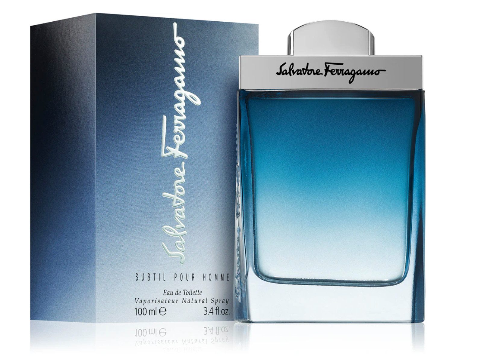 Salvatore Santore Eau de Toilette Subtil Pour Homme Eau de Toilette Parfum Versiegelt 100ML, Harmonischen Balance aus Frische,Wärme,maskuliner Tiefe