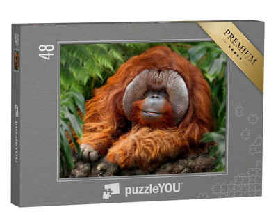 puzzleYOU Puzzle Tropischer Regenwald mit Orang-Utans, 48 Puzzleteile, puzzleYOU-Kollektionen Orang-Utan, Tiere in Dschungel & Regenwald