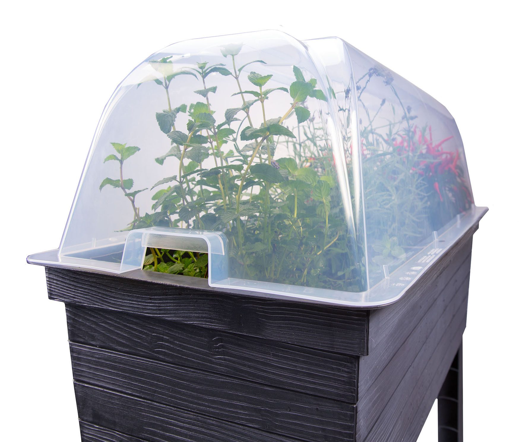 GARANTIA Hochbeet URBAN Anzuchthaube