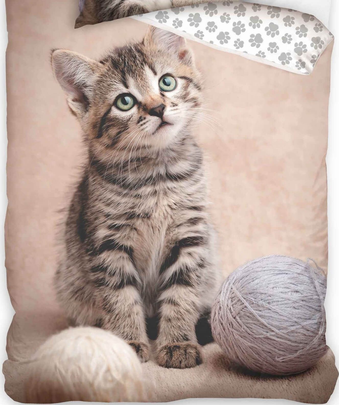 Carbotex Bettwäsche Katze - Wende-Bettwäsche-Set mit günstig online kaufen