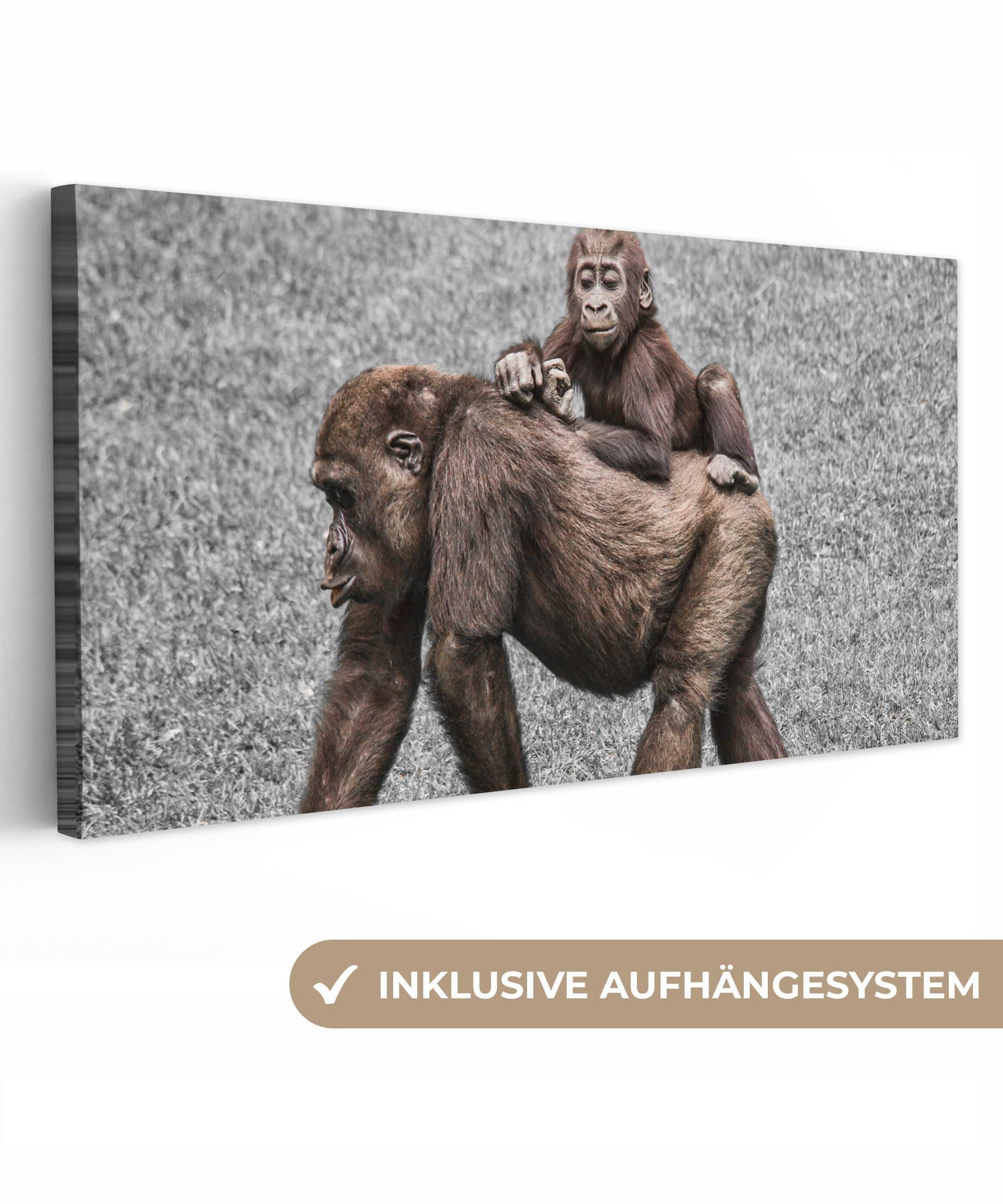 OneMillionCanvasses® Leinwandbild Panorama Affen - Landschaft günstig online kaufen